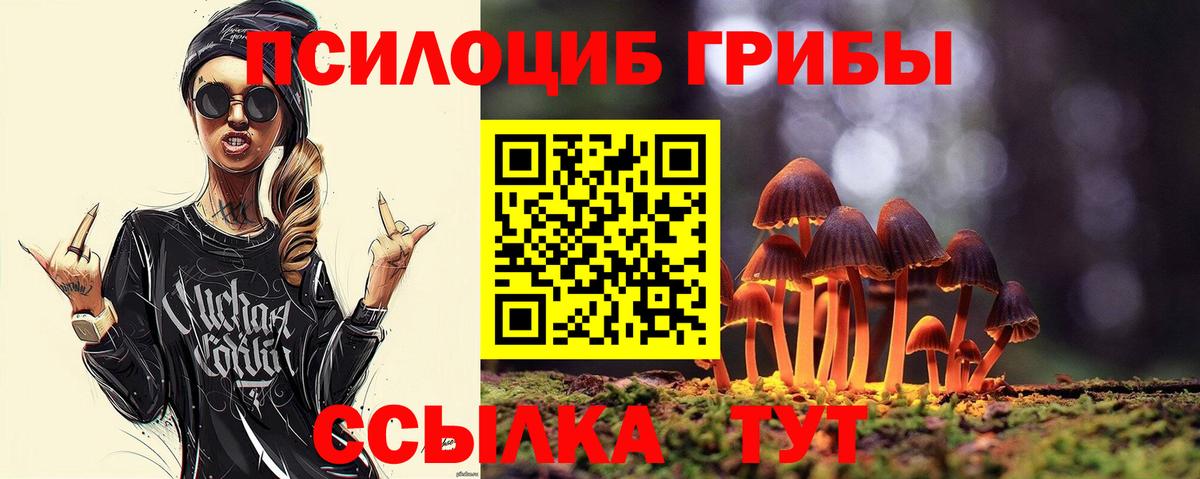Псилоцибиновые грибы прущие грибы Апатиты
